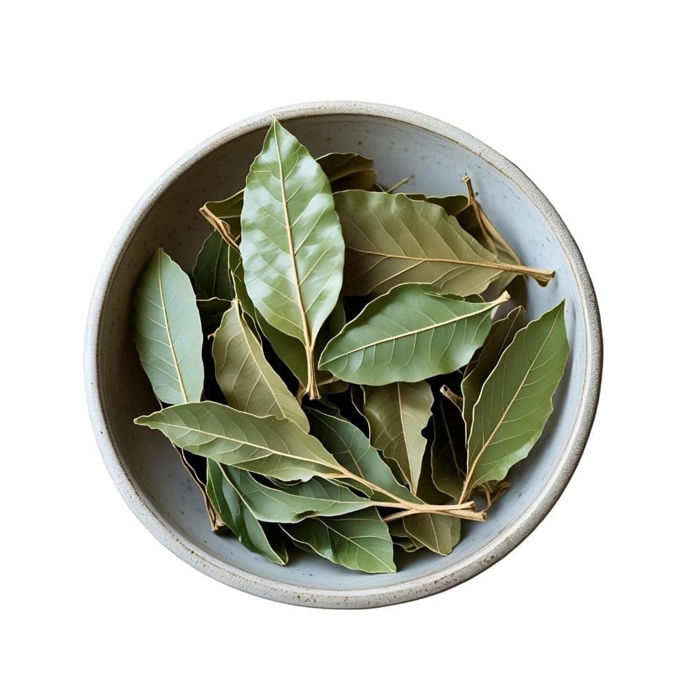 Laurel (Bay) Leaves