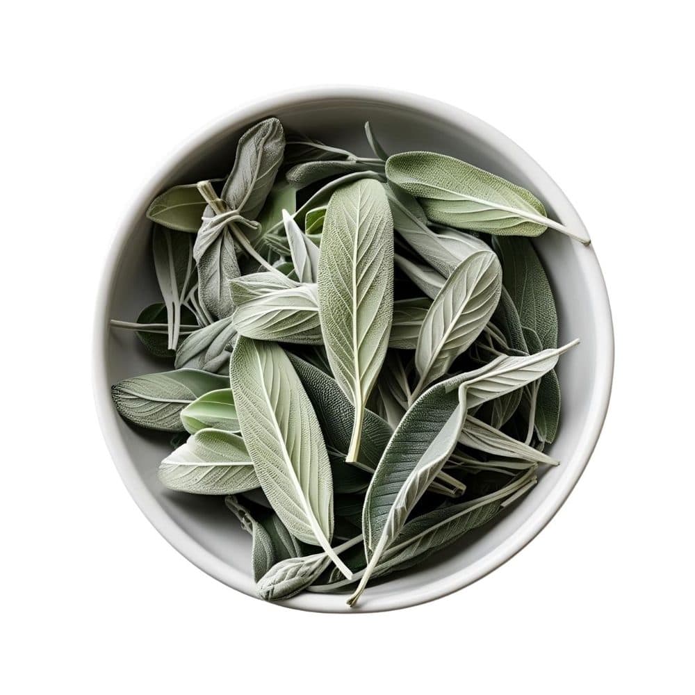 Sage