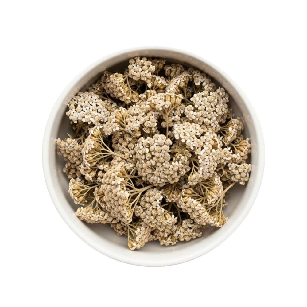 Yarrow