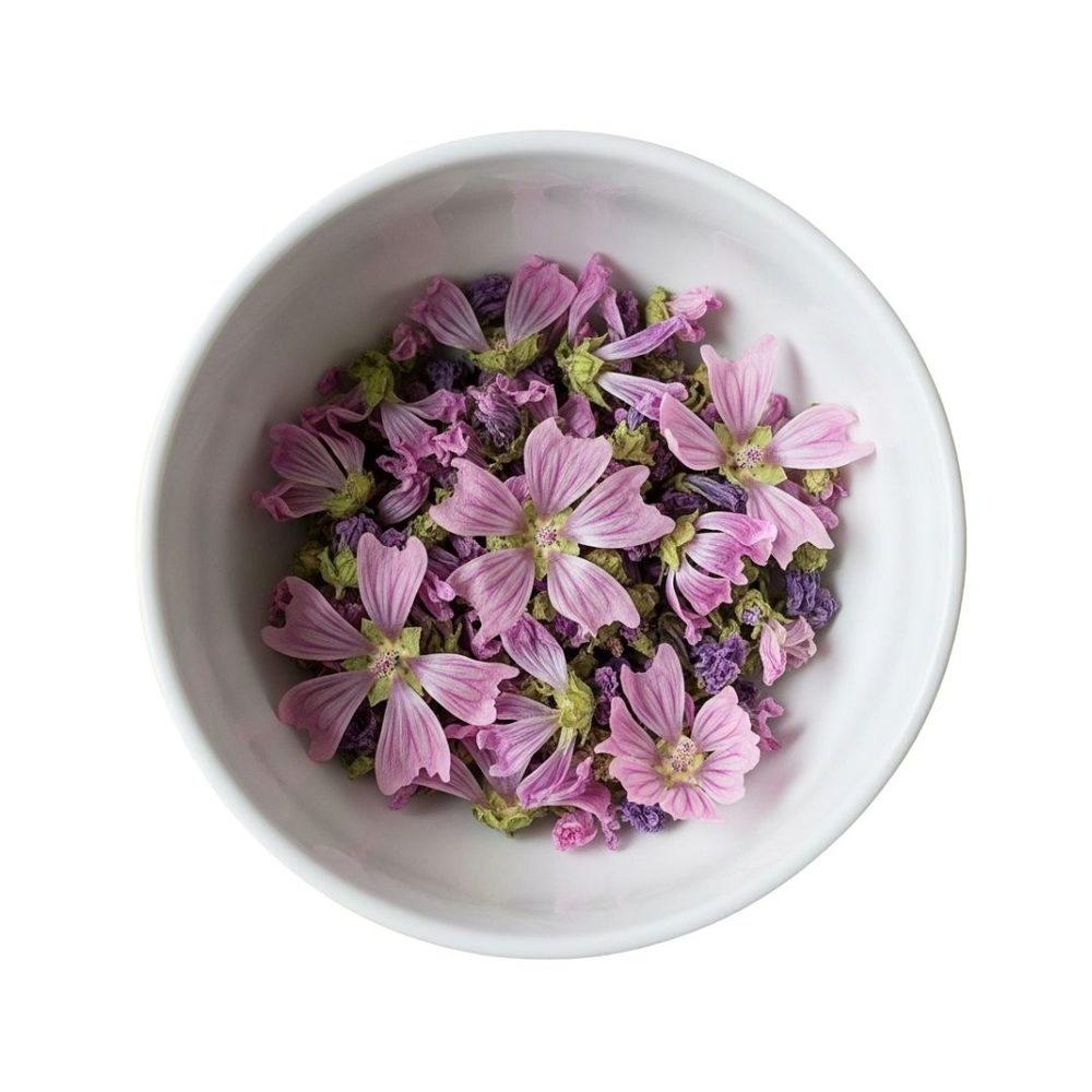 Common Mallow