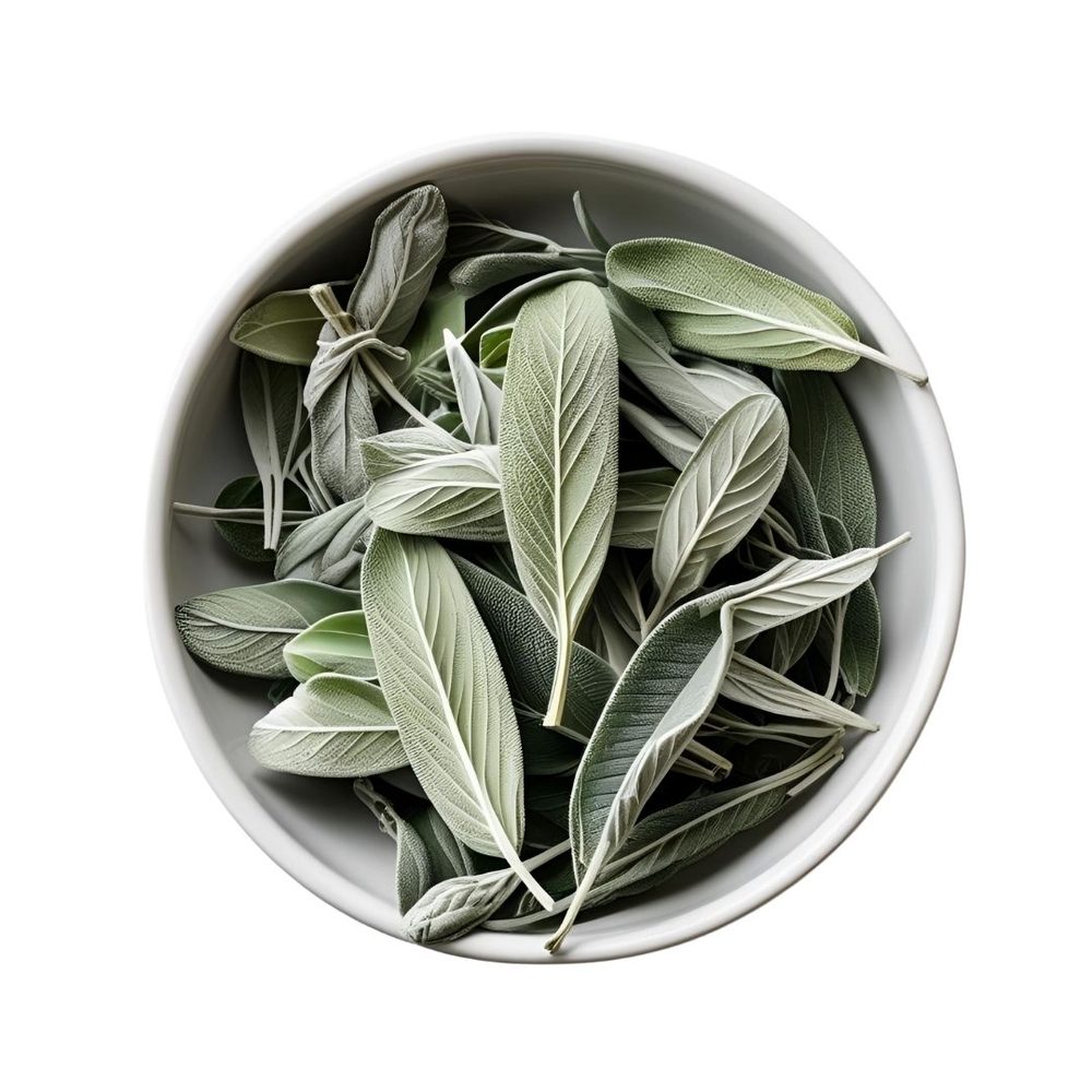 Sage