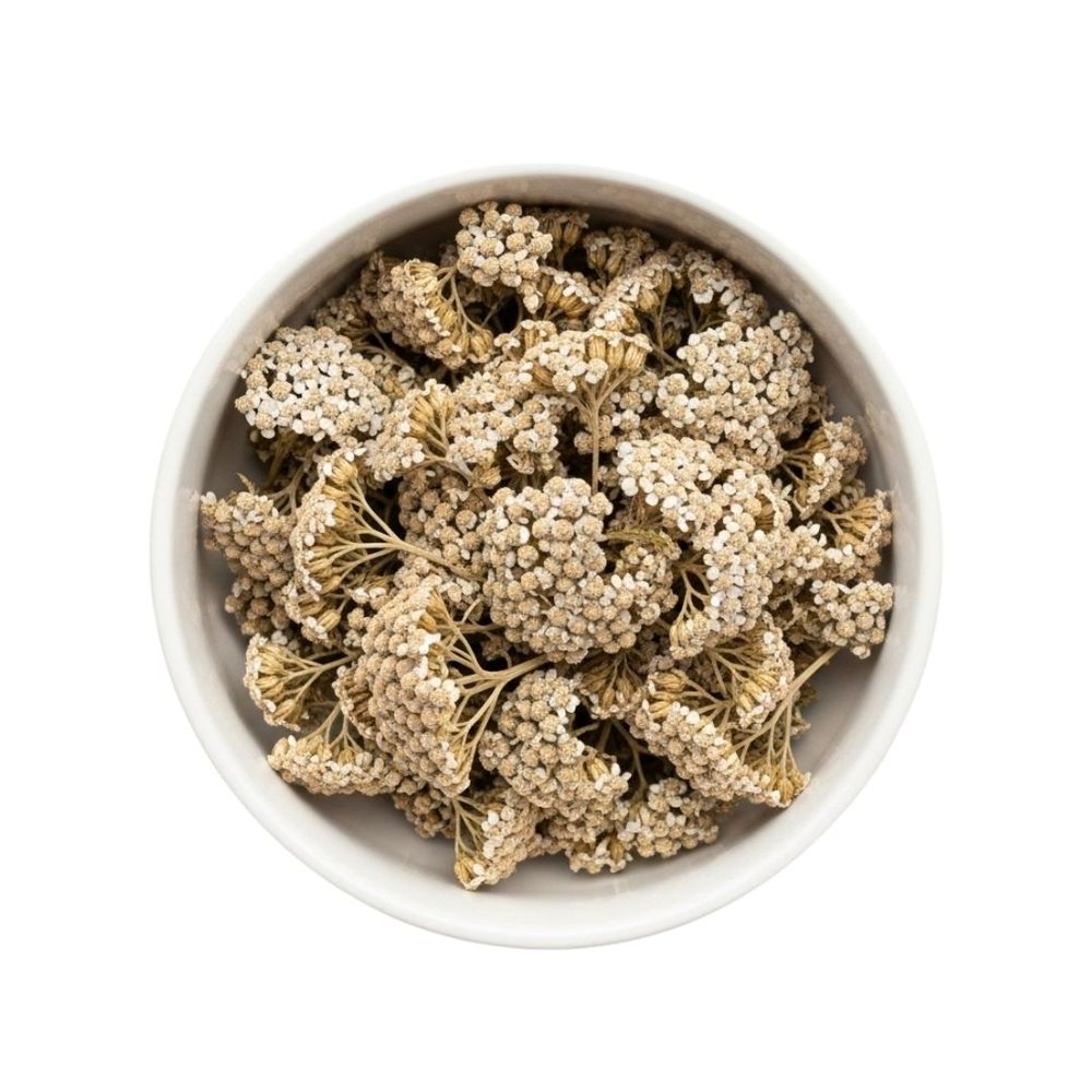 Yarrow